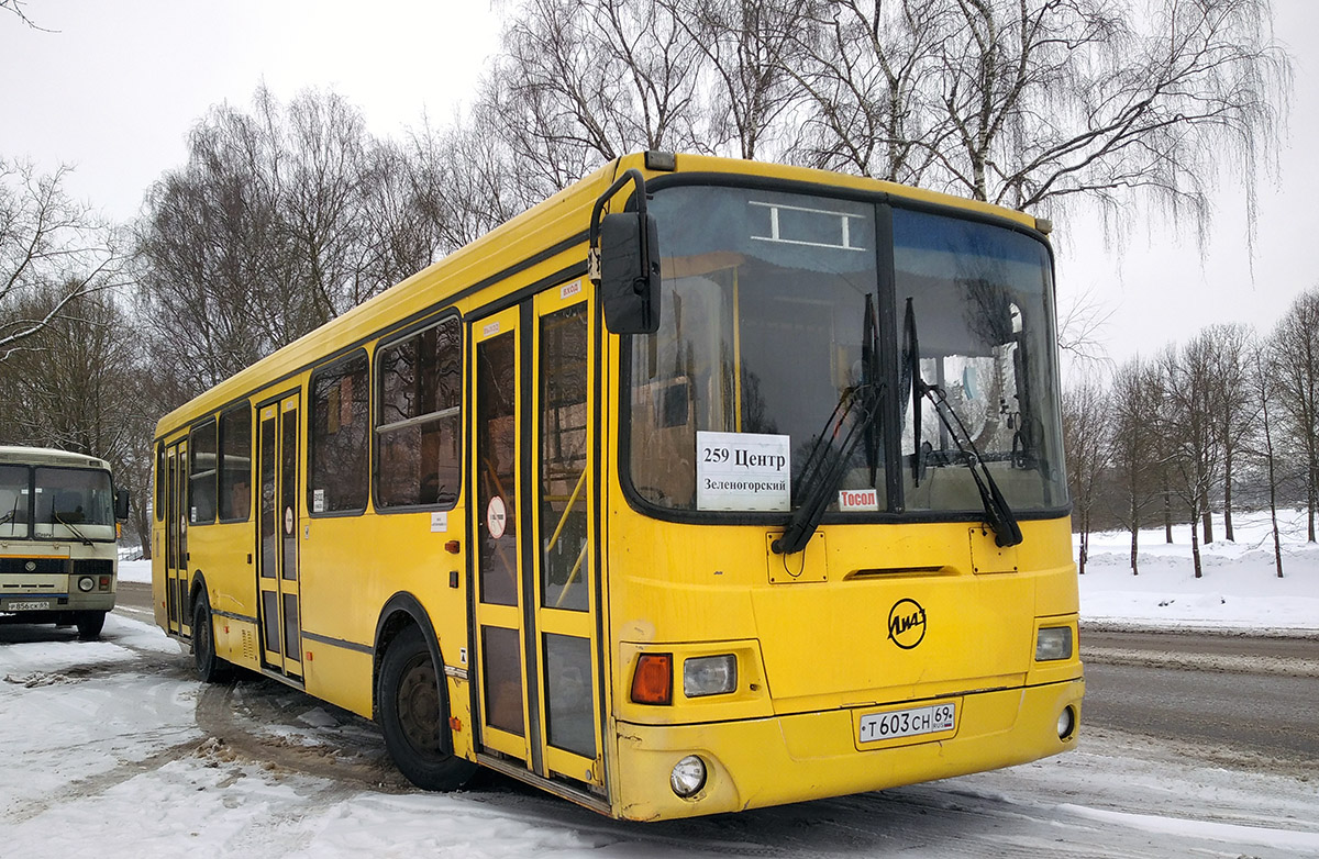 Tver region, LiAZ-5256.36 # Т 603 СН 69