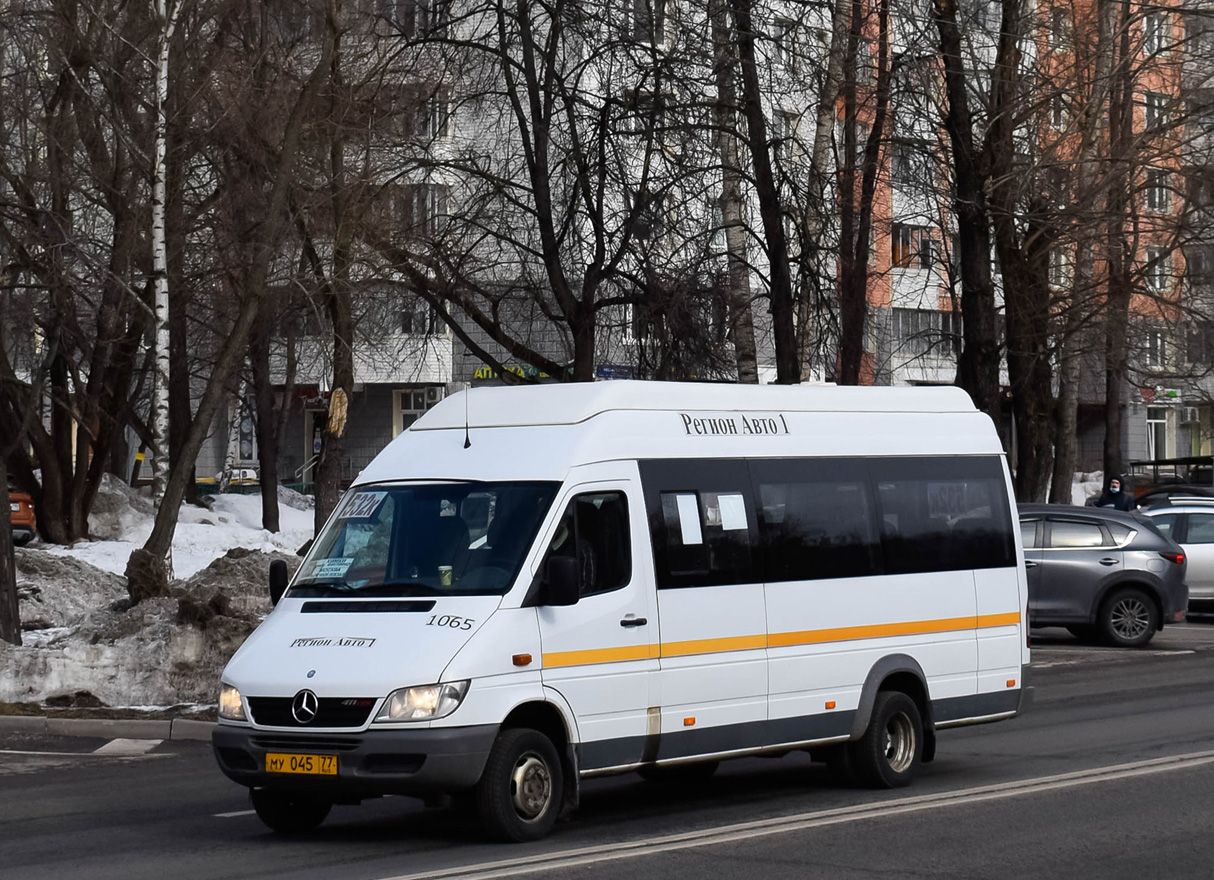 Moscow region, Luidor-223229 (MB Sprinter Classic) # 1065