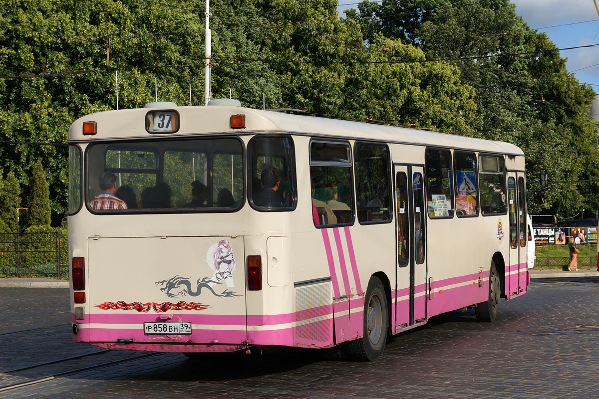 Kaliningrad region, MAN 789 SÜ240 # Р 858 ВН 39