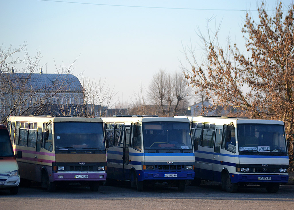 Volinskaya region, BAZ-A079.20 "Etalon" # AC 2794 AB; Volinskaya region, Etalon A079.34 "Malva" # AC 4360 BI; Volinskaya region, BAZ-A079.23 "Malva" # AC 9154 AE; Volinskaya region — Miscellaneous photos