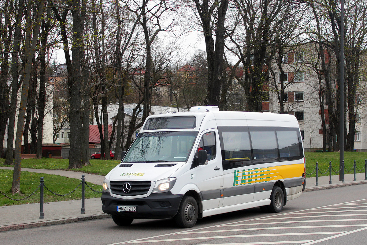 Lithuania, Altas Cityline # 831