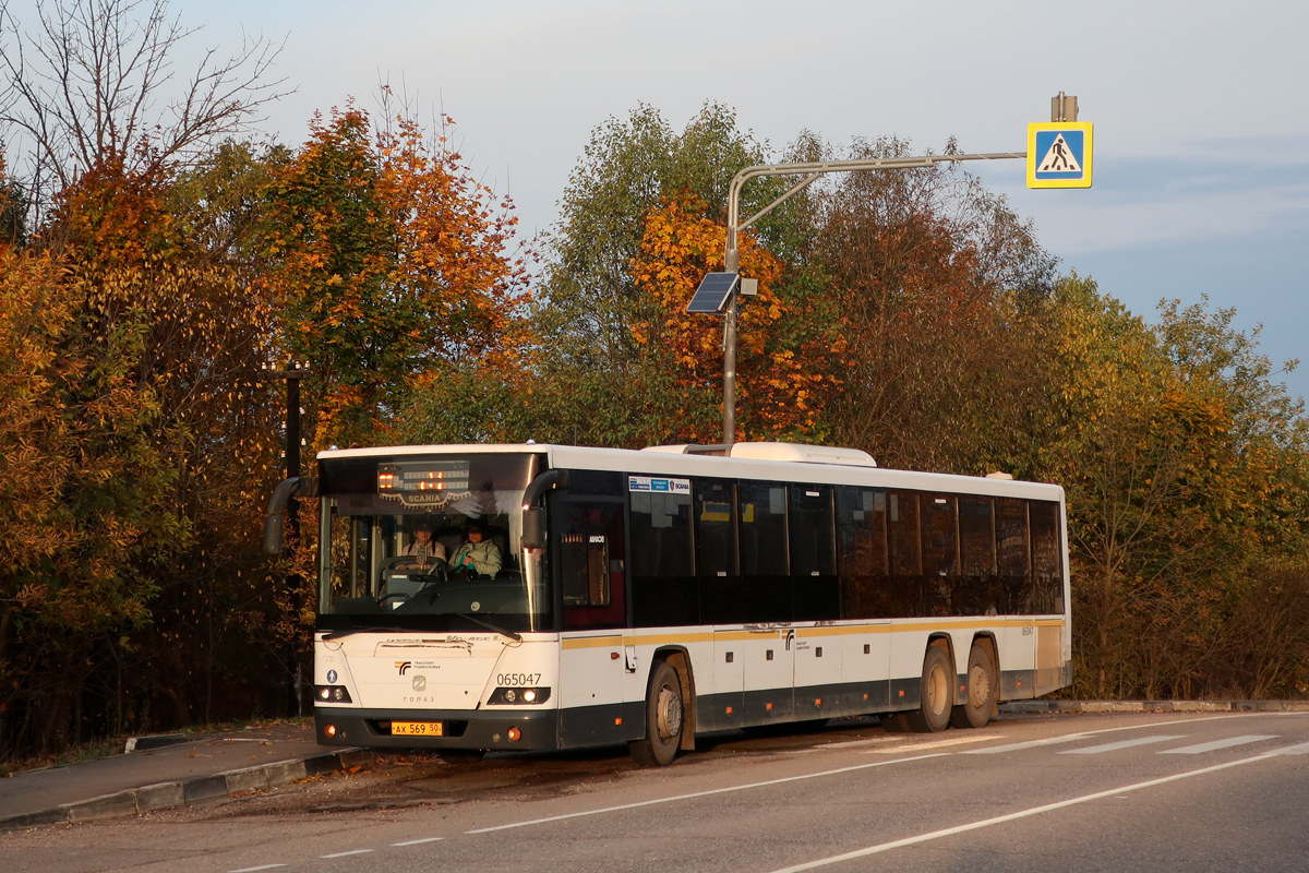 Moscow region, GolAZ-622810-10 # 065047