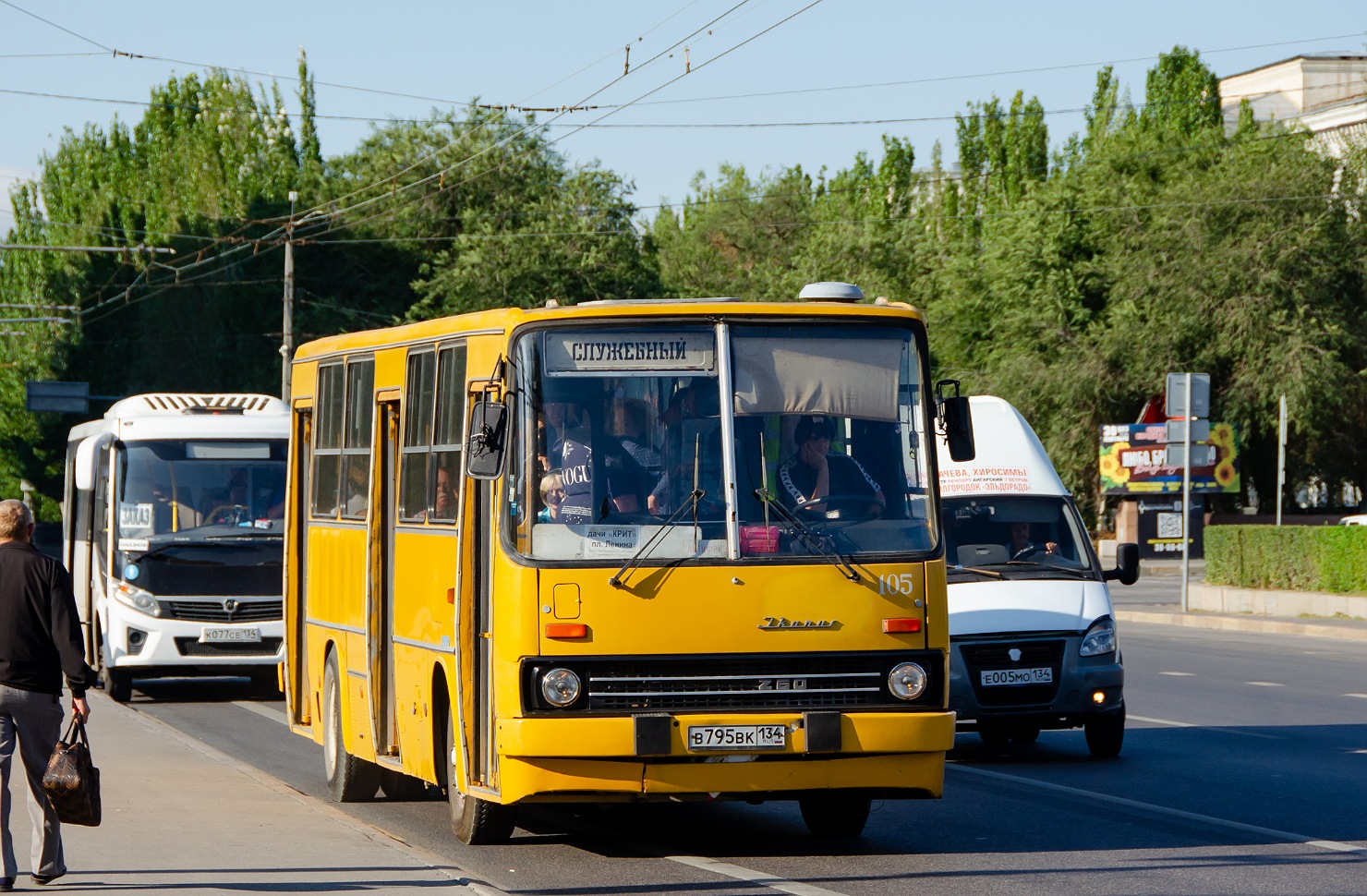 Volgograd region, Ikarus 260.50 # В 795 ВК 134
