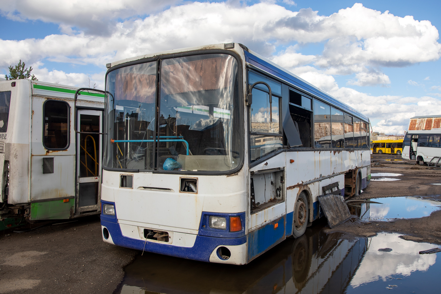 Yaroslavl region, LiAZ-5256.23-01 (GolAZ) # 240