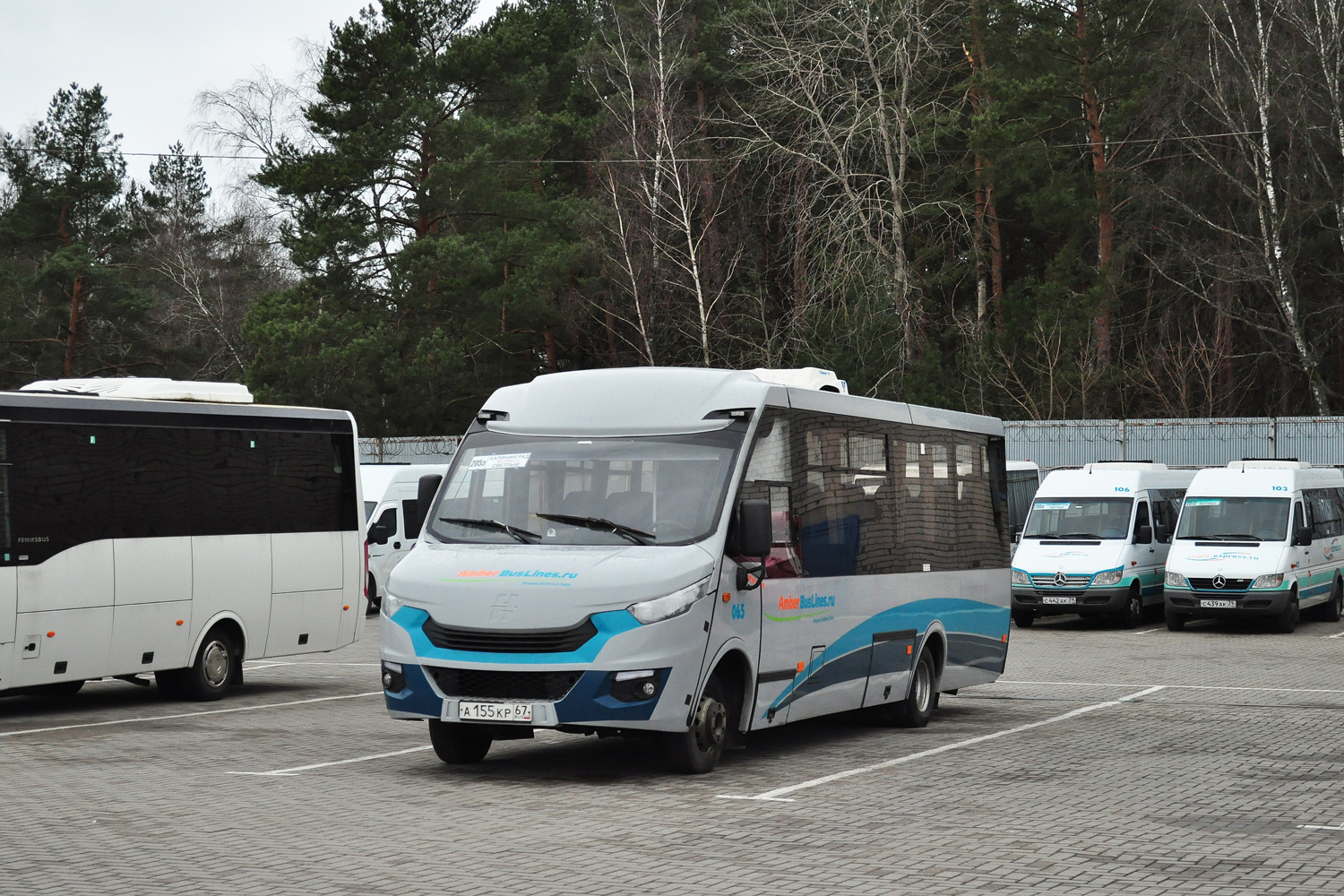 Kaliningrad region, Neman-420224-511 # 065