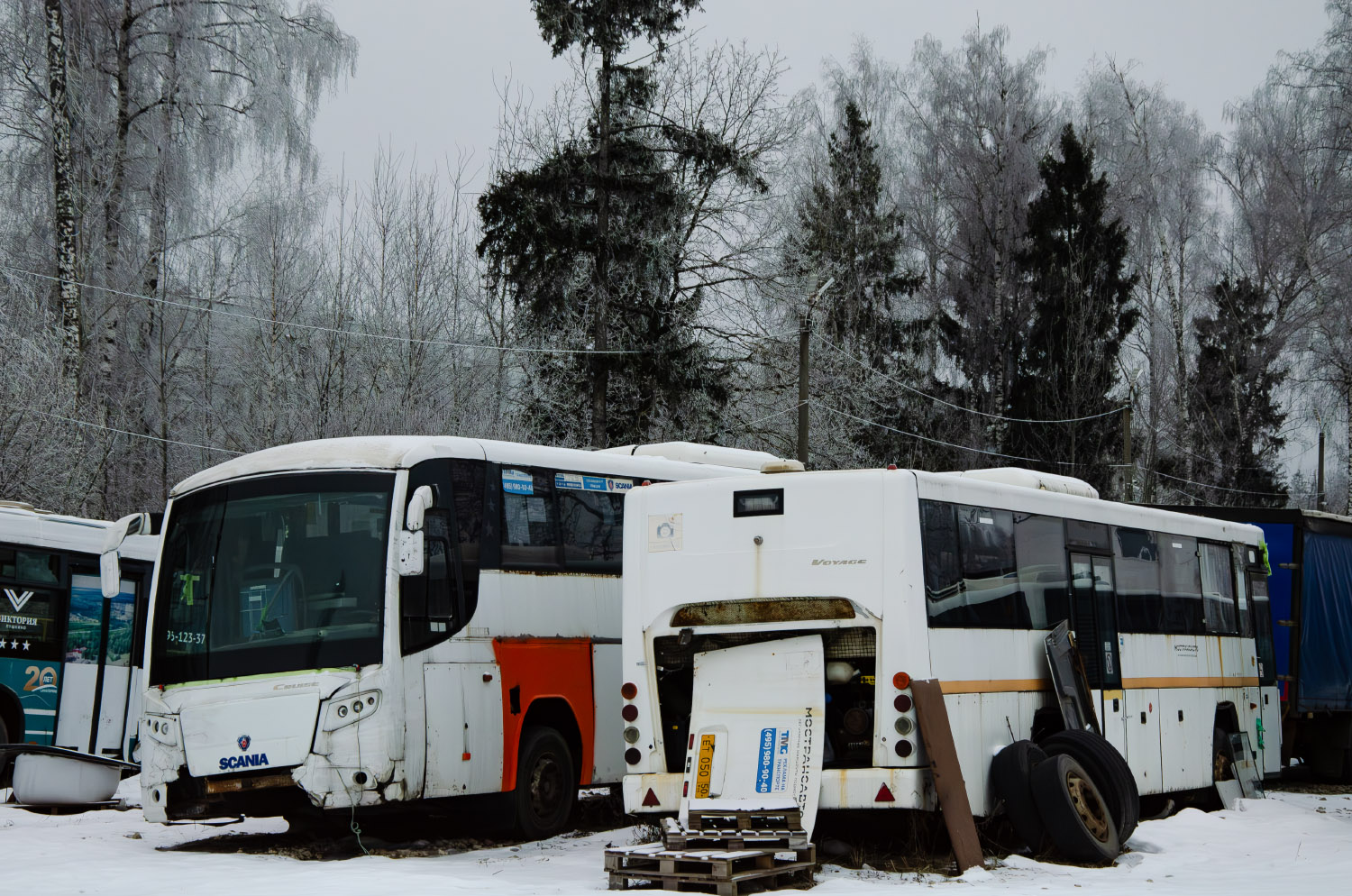 Moscow region, GolAZ-525110-11 "Voyage" # ЕТ 050 50