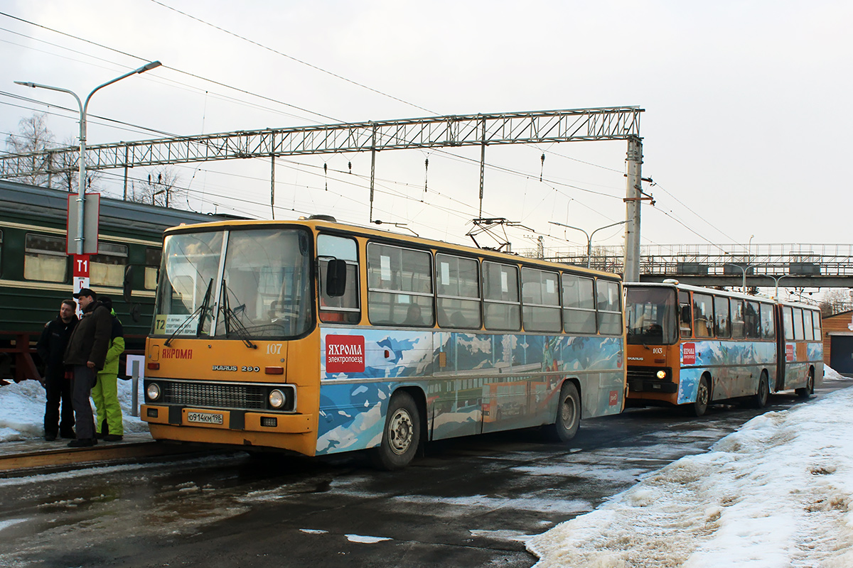 Moscow region, Ikarus 260.51F # 107
