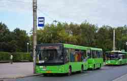 426 КБ