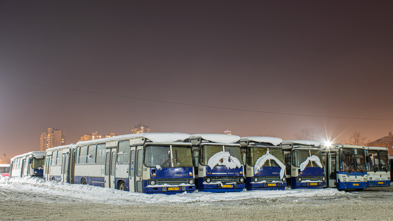 Свердловская область, Ikarus 283.10 № 538