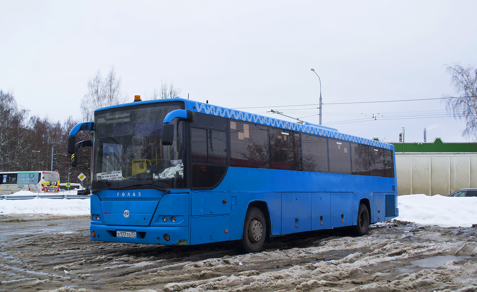 Московская область, ГолАЗ-525110-10 "Вояж" № 051095