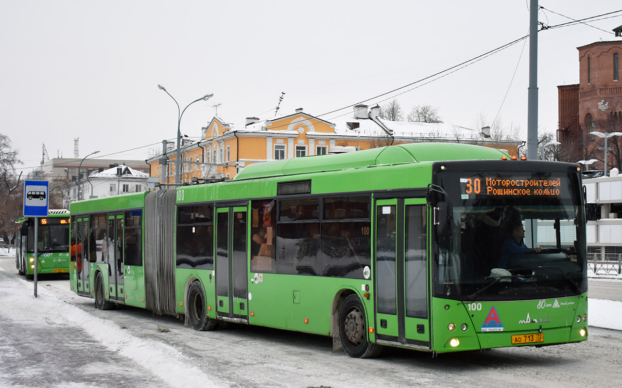 Tyumenyi terület, MAZ-205.069 sz.: 100