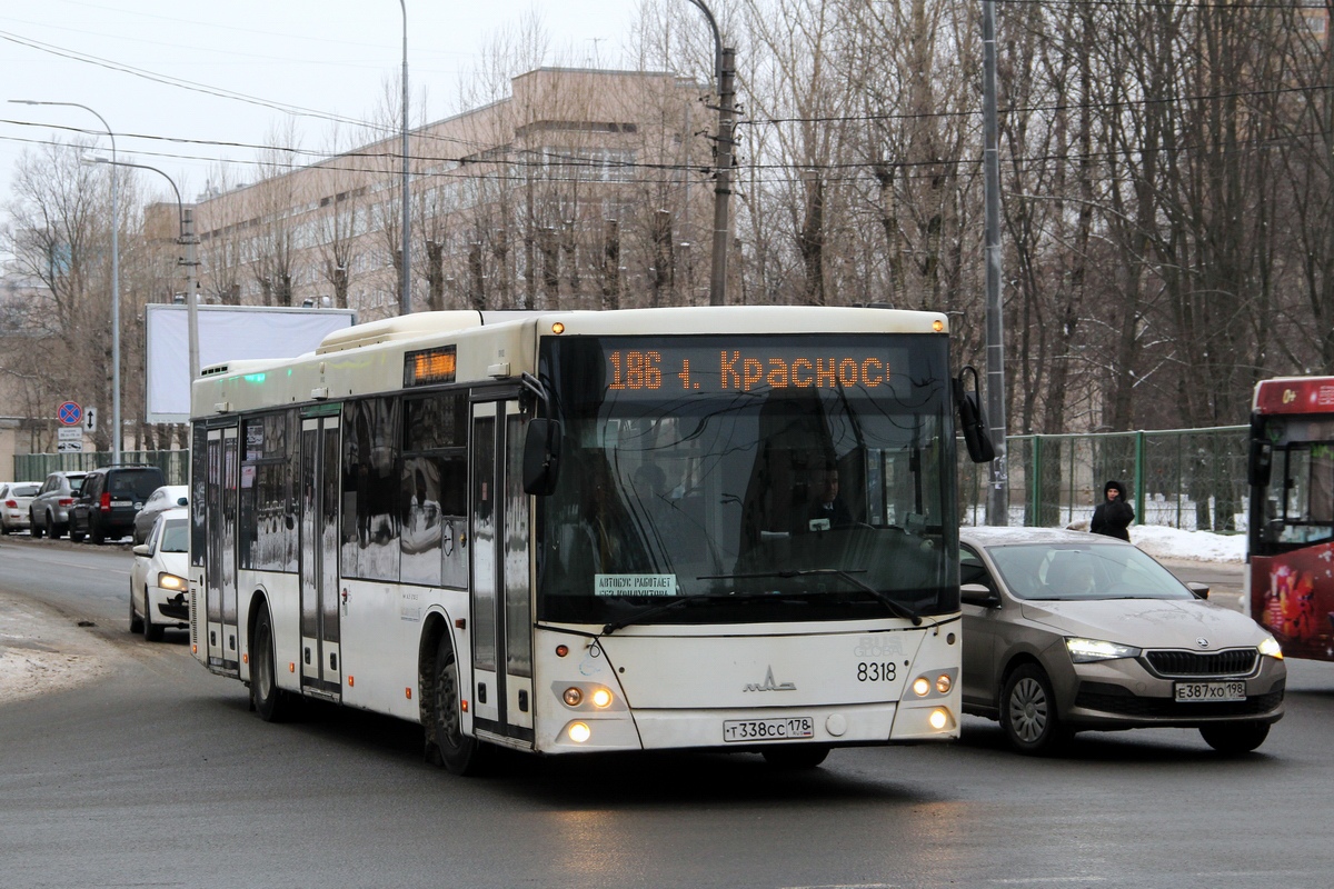 Санкт-Петербург, МАЗ-203.085 № 8318