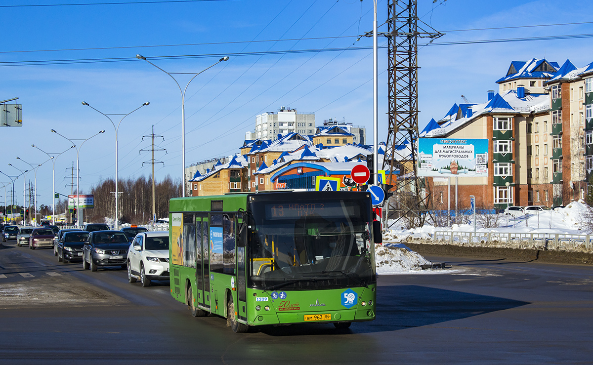 Ханты-Мансийский АО, МАЗ-206.068 № 1209