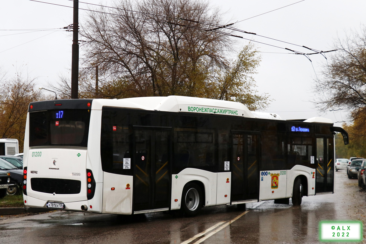 Воронежская область, НефАЗ-5299-40-57 (CNG) № 01200