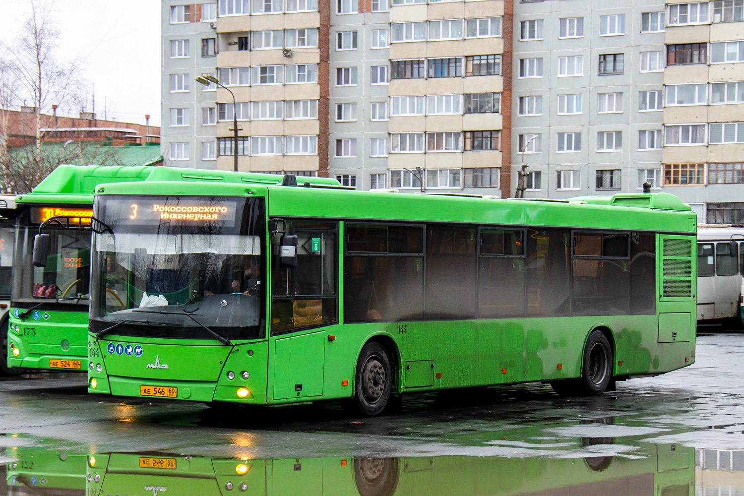 Pszkovi terület, MAZ-203.016 sz.: 144