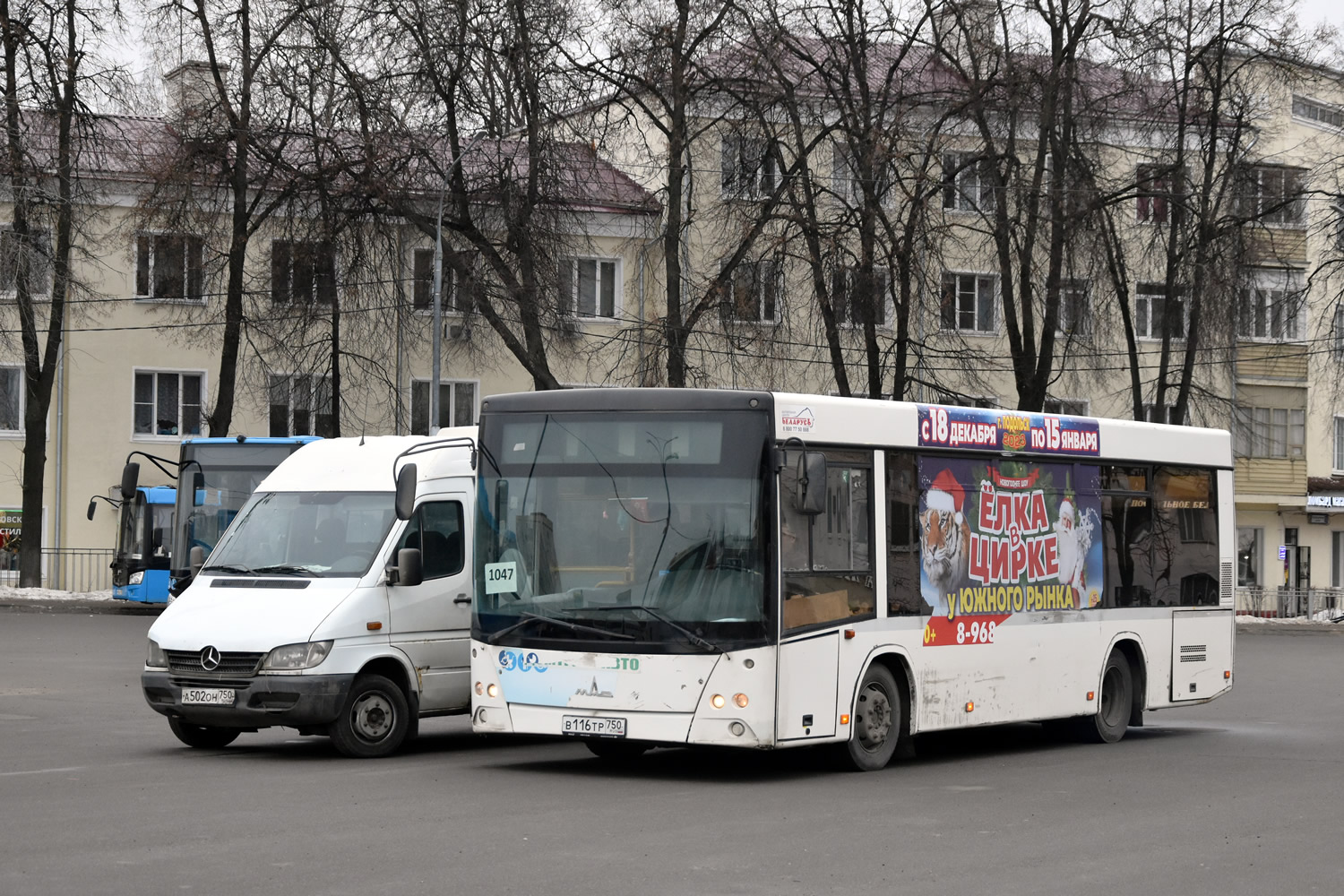 Московская область, МАЗ-206.085 № В 116 ТР 750