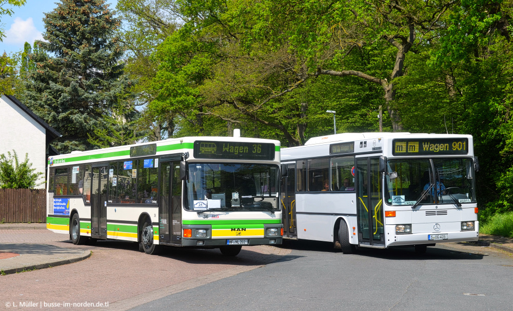 Северный Рейн-Вестфалия, MAN A10 NL202 № 36; Нижняя Саксония — Bustreffen Wehmingen Hannoversches Straßenbahnmuseum 14.05.2023