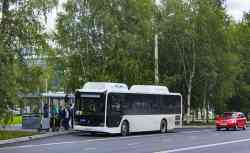 596 КБ