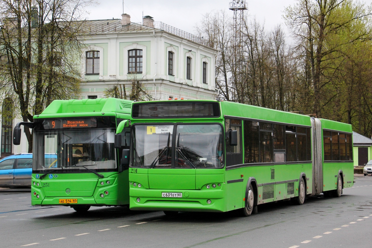Псковская область, МАЗ-105.465 № 291; Псковская область, ЛиАЗ-5292.67 (CNG) № 251