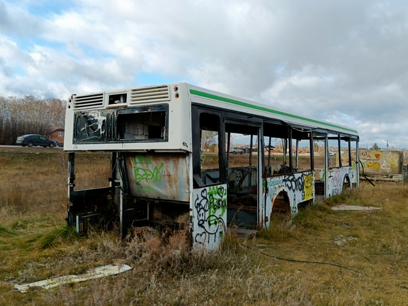 Новосибирская область, ЛиАЗ-5292.20 № У 644 ВР 55