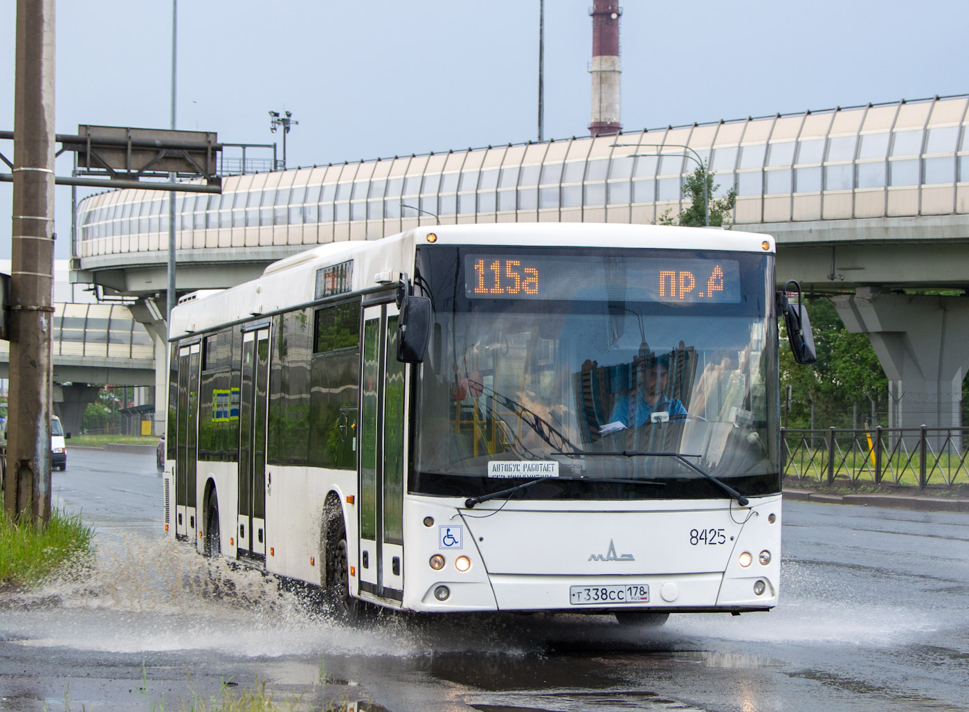 Sankt Petersburg, MAZ-203.085 Nr 8425