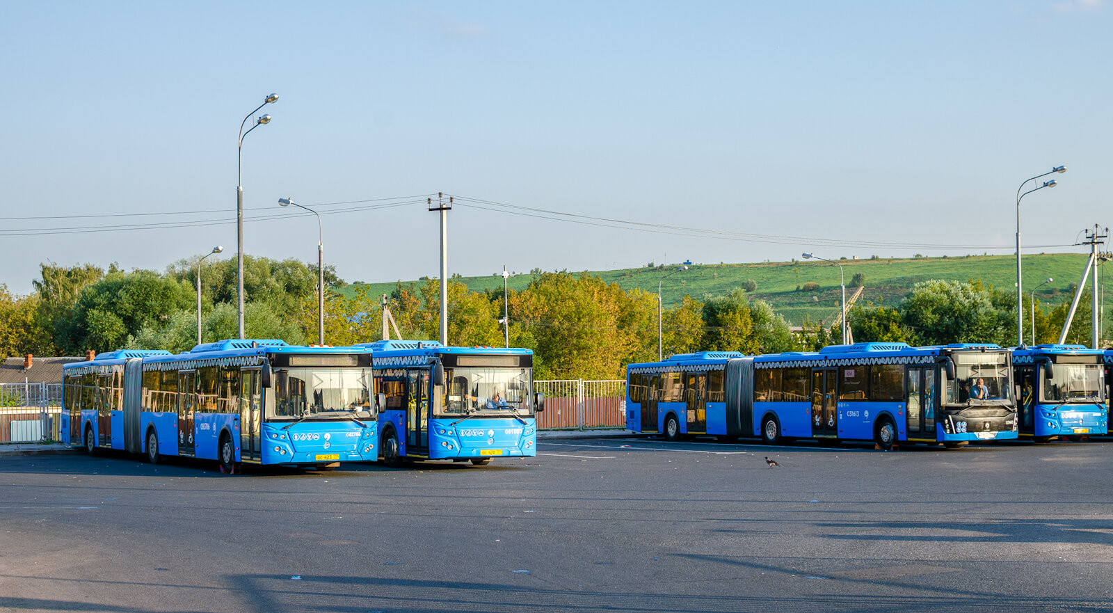 Москва, ЛиАЗ-6213.65 № 081786; Москва, ЛиАЗ-6213.65 № 031613