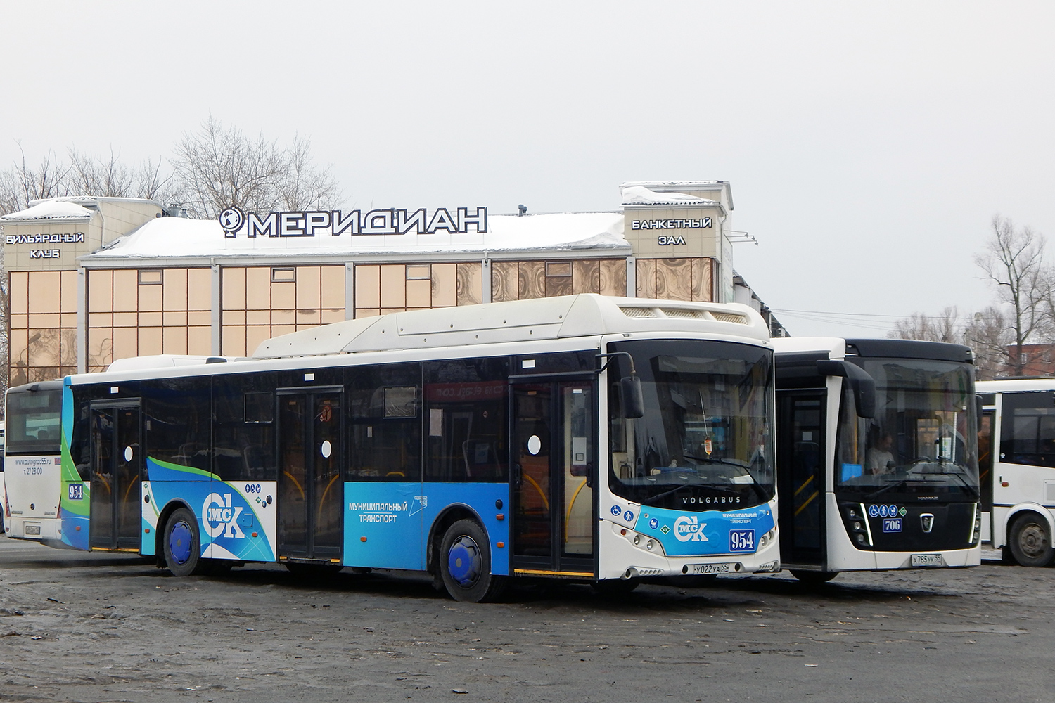 Омская область, Volgabus-5270.G2 (CNG) № 954